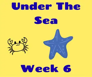 Preschool Summer Camp Week 6- July 13th